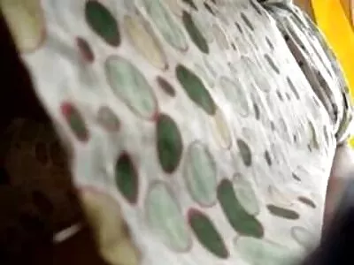 سوفی سایت سکسی ترکی ڈی اور ڈینی وائلڈ شرارتی دفتر میں