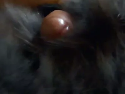 فلیشا این اور ٹائلر نکسن ایک کوگر کے سکسی فلم ترکی ذریعہ بہکائے ہوئے میں