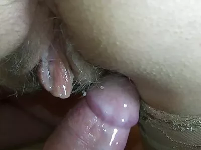 گہرے گلے کا سنہرا سکی ترکی کارنامہ۔ لیکسی نگل